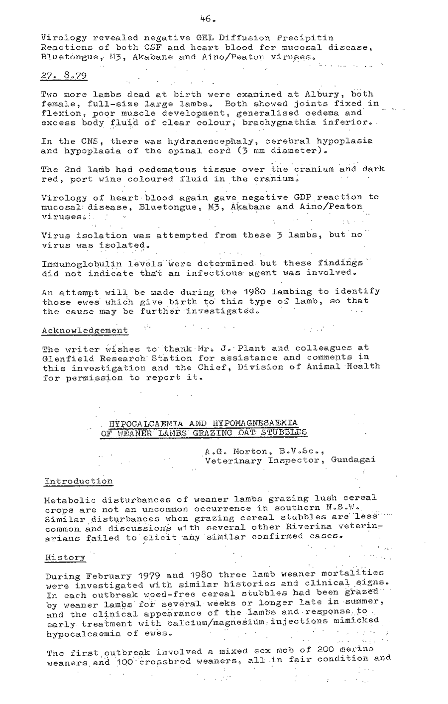 1980 page 46